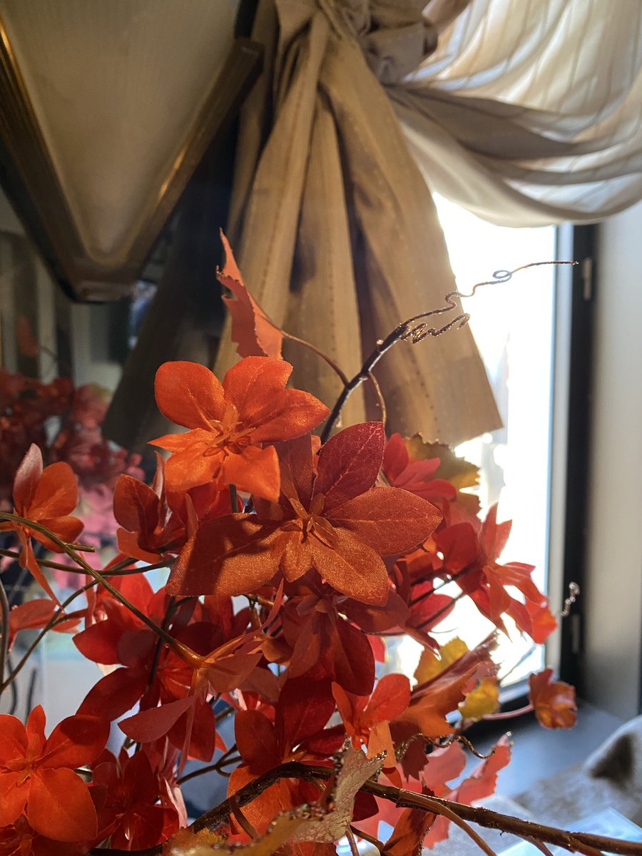 いかん、いかん。

やってますよ⁉️本日も18時から！！営業です！豚汁や新じゃが煮物、雲泥ハム（いただきもの❤️）おつまみありますよ😌