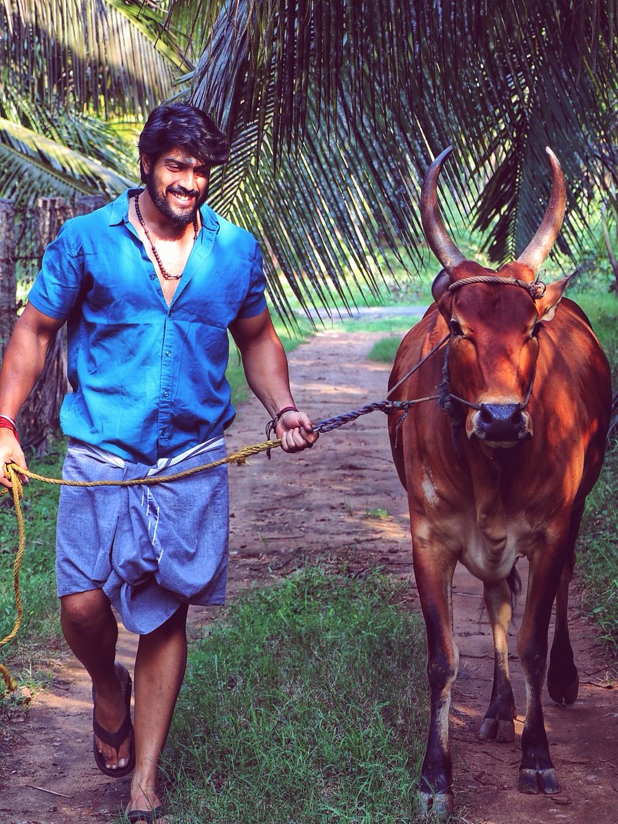 actorshan_'s tweet photo. அனைவருக்கும் இனிய பொங்கல் நல்வாழ்த்துக்கள்!

இனிய தை திருநாள் &amp; தமிழர் திருநாள் நல்வாழ்த்துகள்! https://t.co/bDOeZfamHM