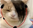 哦啊啊耶duangduang嘞个嘞个蛋蛋
0xf8228acedc5d1990837b1f1f0cb2c4dbdf9c4444
