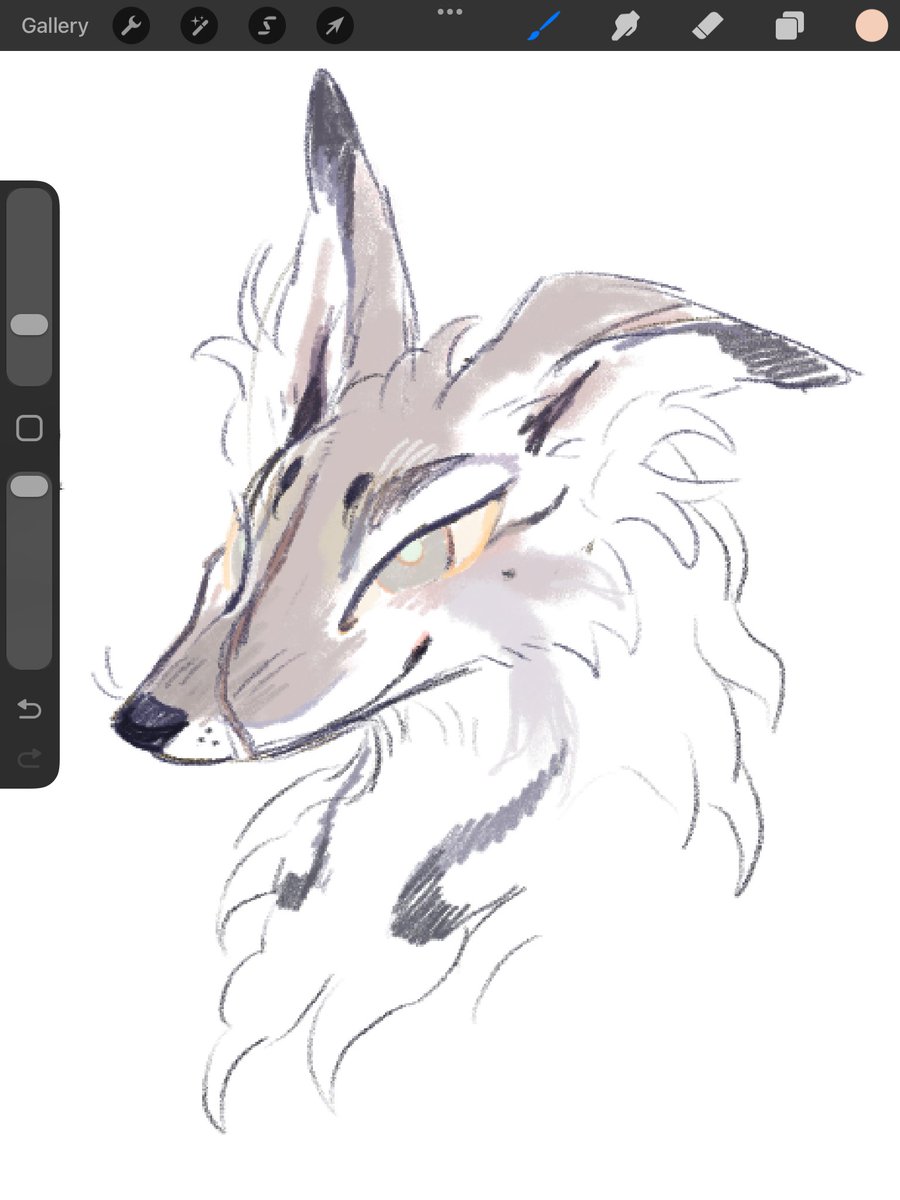 jester cat and knight dog (design wip)