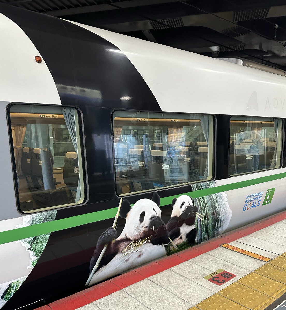 ほんとだ
パンダくろしお復活してた！
(後ろなので目が赤い)