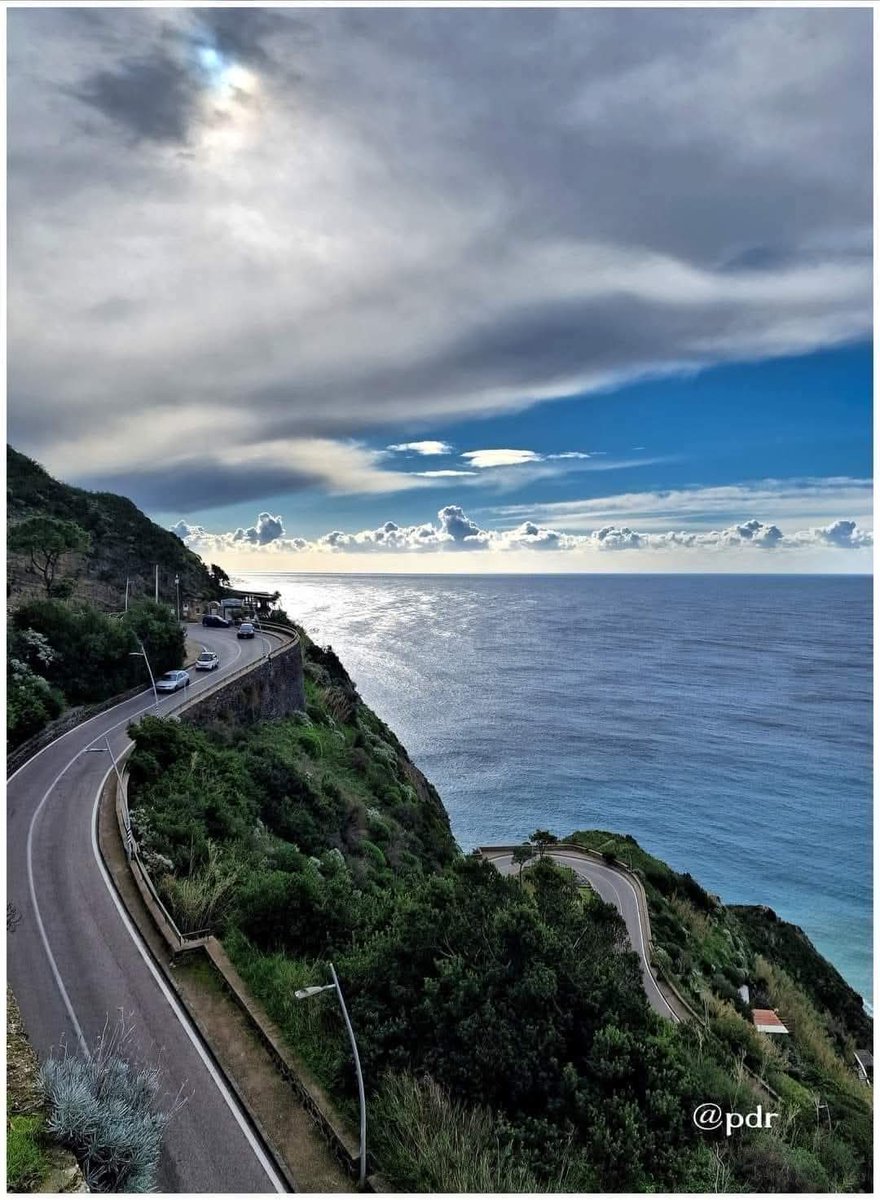 CuoreIschitano's tweet image. Di tutte le bestie selvagge,
l'ignoranza è la più difficile da trattare.

(Platone)

Buongiorno vita! 💙 

#ischia #baiadeimaronti