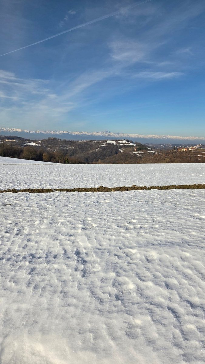 CappatoSimo's tweet image. Buongiorno, felice e splendido giovedì  a tutti.😉☕️🥐🦋🐌🦋🐌🦋🏵🏵