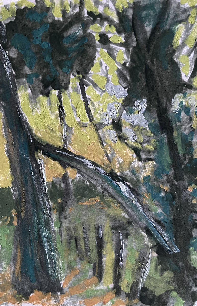 Dave Green tweet media