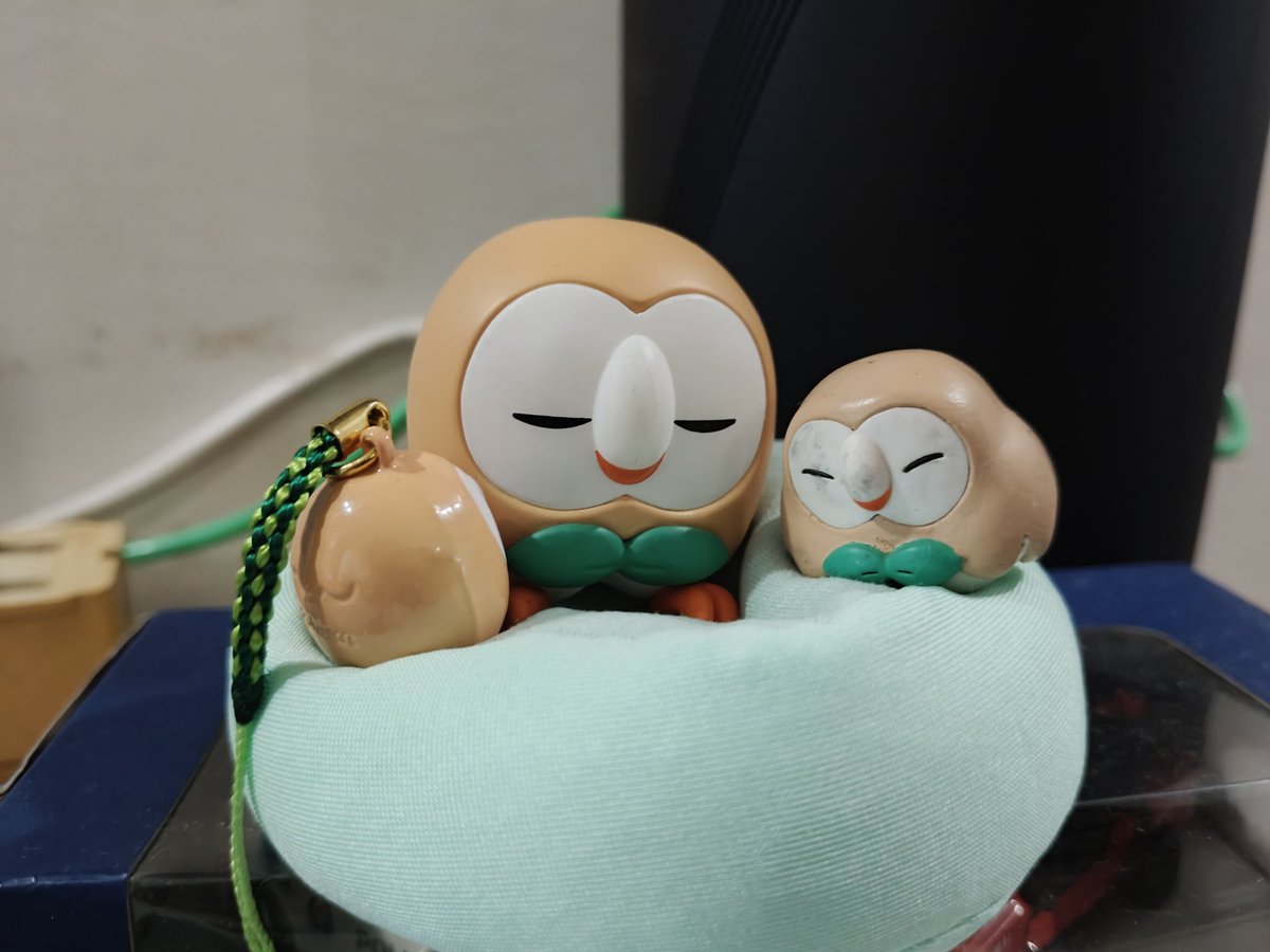 final222's tweet image. Eeping zzz
Funny how so keep getting Rowlet for being a birb owner
I guess torchic is harder to find ._.