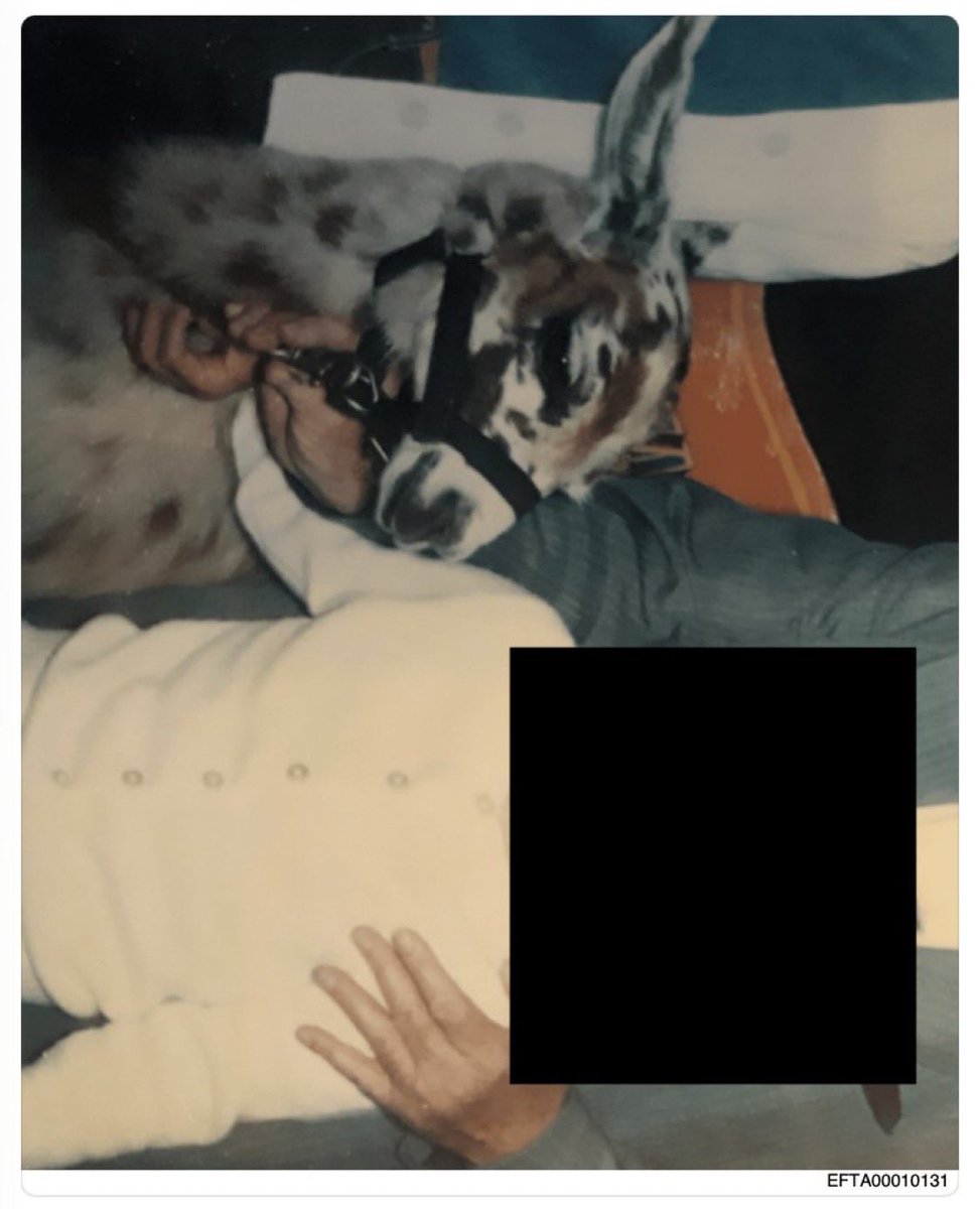 PatternDeptHQ's tweet image. These babies look awfully young 

(Yes these are real photos from the Epstein files. Not from the MILLION+ they haven't released. Just look up file # in corners.)