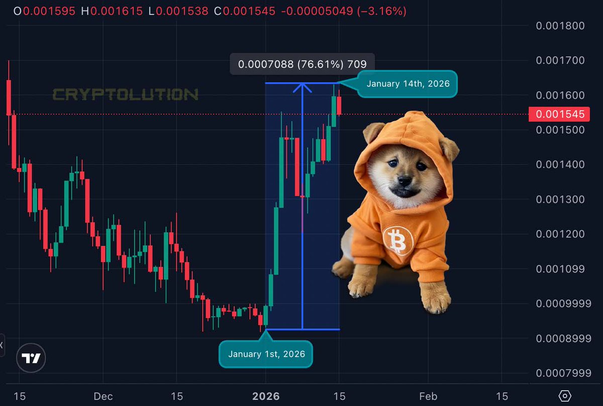 Cryptolution's tweet image. 14 Days into 2026 and $DOG is up 76% 😱

With @CryptoWendyO blessing, can we send it HIGHER? 🧨