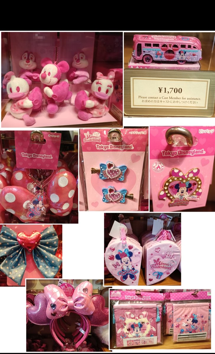 ディズニー⭐︎みんなと仲良くお友達ルンルン❣️グッズアイテム⭐︎13点セット TDR ディズニー ぷらん (@disney_tdr_plan) / Posts / X