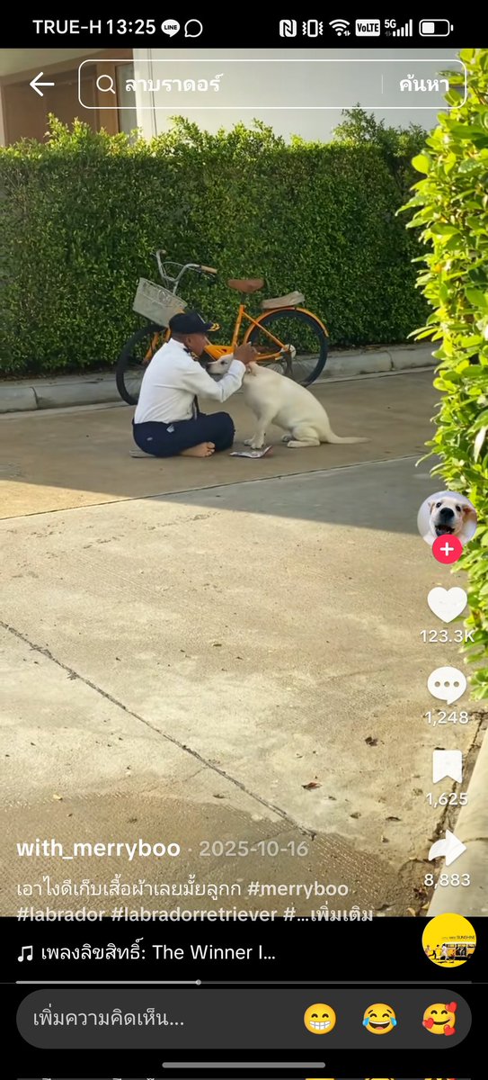 Pimchan011118's tweet image. ฉันสงสัยว่าน้องหมาบ้านนี้เค้าลืมไปมั้ยว่าเค้ามีแม่​ คลิปในช่องมี40กว่าคลิปอยู่คุณลุงรปภ.ไปแล้ว8000คลิป
BOOทั้งรักทั้งหลงลุงรปภ.มากๆอ่ะ