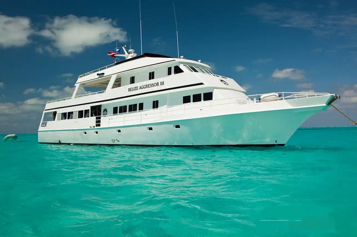 LiveaboardCom's tweet image. 🇧🇿 Belize Aggressor III — 25% OFF
Blue Hole • Half Moon Caye • Night dives 🌊
🚢 Luxury liveaboard • Nitrox • Camera stations
📆 Nov 2026
👉 liveaboard.com/diving/belize/…
#BelizeDiving #LiveAboard #Scuba