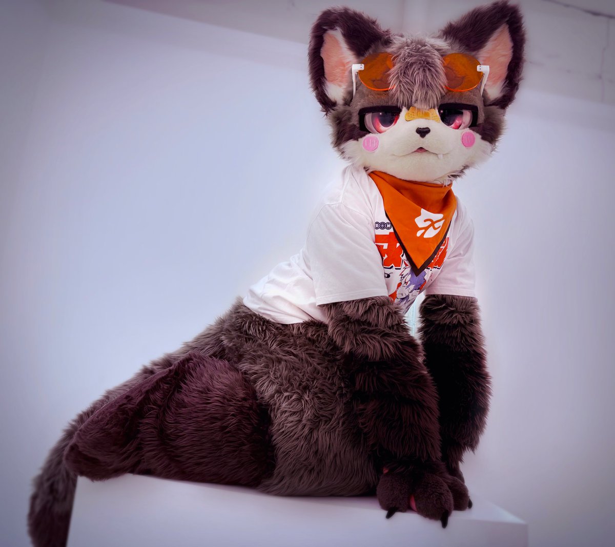 ★新作★ゴン助ページ★ 英助 (@eisuke_fur) / Posts / X