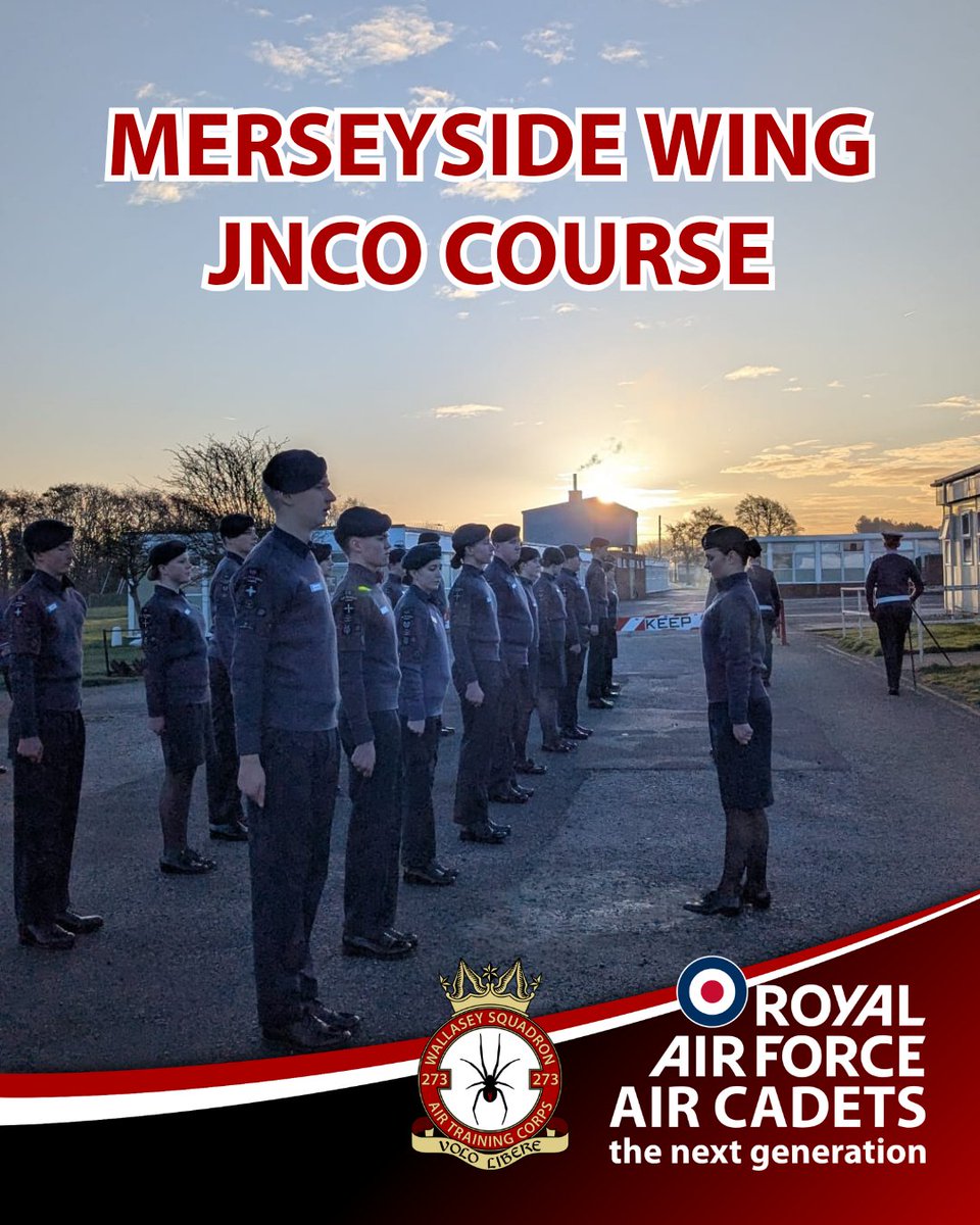 273 (Wallasey) Sqn tweet media