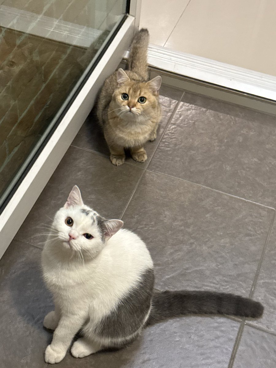 yoojeenoo's tweet image. มาแป้ปเดียว เป็นลูกพี่แร้ว