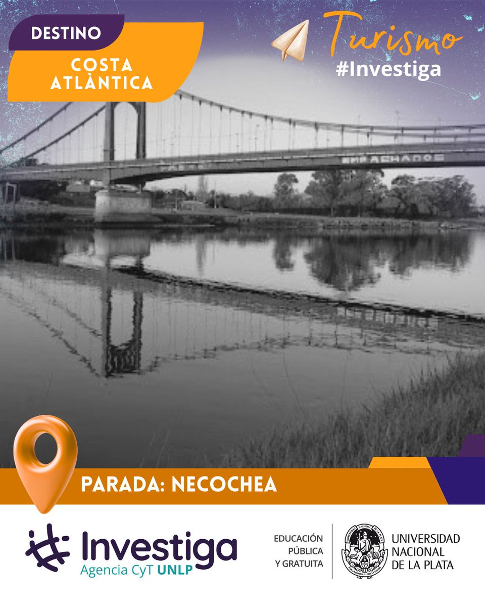 UNLP Investiga tweet media