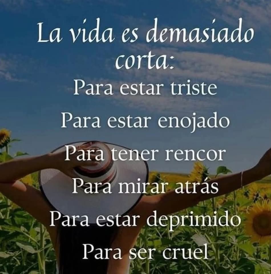 ilayedrap's tweet image. 