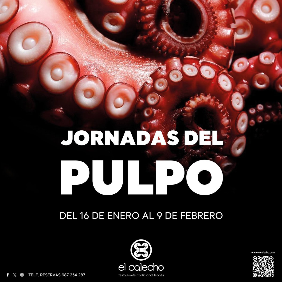 💬 JORNADAS DEL PULPO
📆 Del 16 de enero hasta el 9 de febrero, disfruta de nuestras jornadas en barra, mesa alta o comedor.
Estamos en : 
📍 plaza San Martín n ° 9
Reservas al ☎️ : 987 254 287.
.
.
#elcalecholeon #leonesp #barriohumedo #cocinatradicional