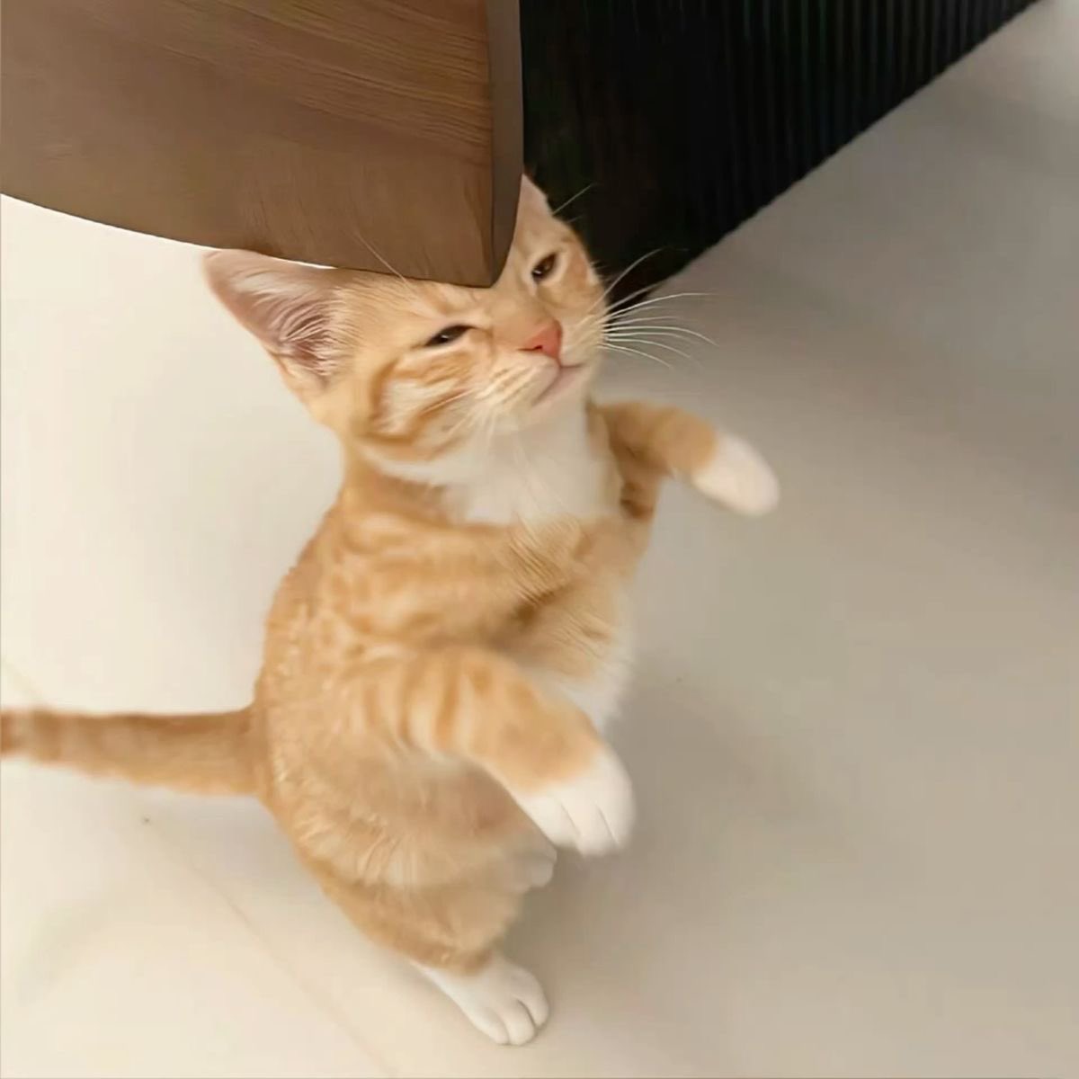 So adorable 🥹🧡