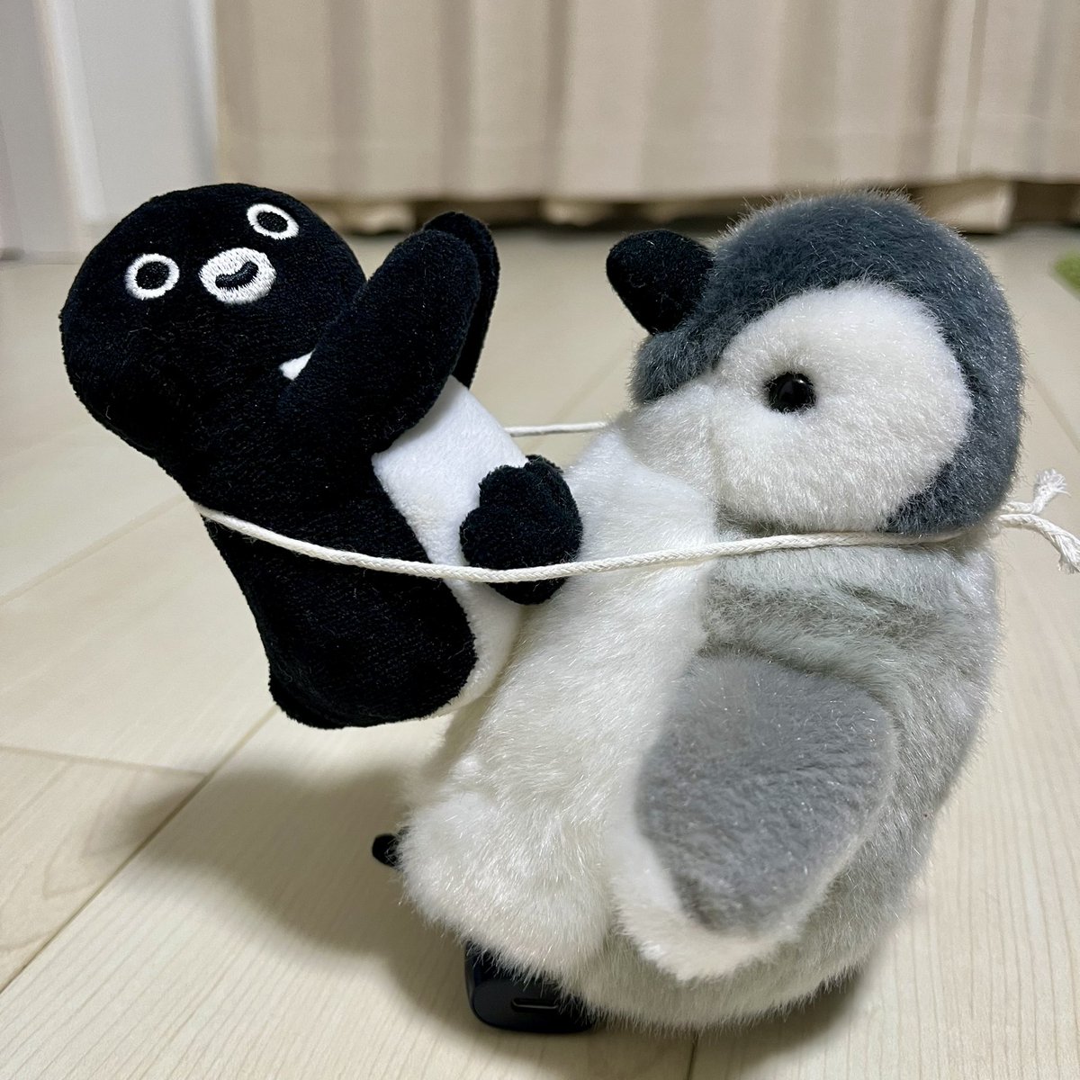 🐧🤸‍♂️🐧
機械体操にチャレンジ！
お、お姉ペン、サボテンできたよね！
ぺ、ペンちゃん向きが逆じゃない？💦