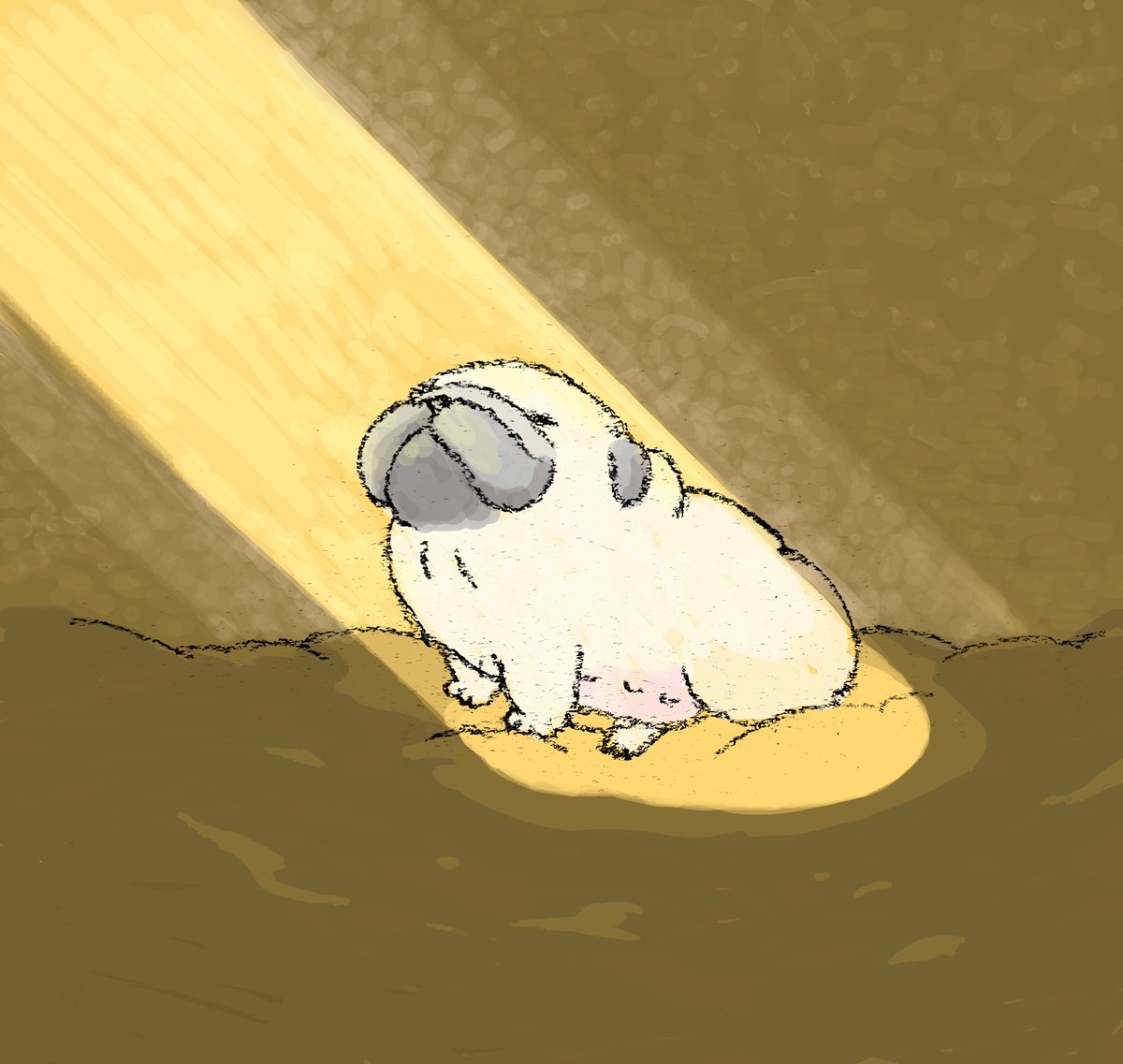 ハナちゃん (@89no87chan) / Posts / X