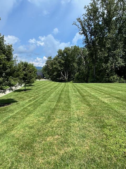 Criteslandscape's tweet photo. A healthy lawn does more than just look good. It improves air quality, provides a habitat for wildlife, and enhances property value. Let RC's Landscaping help you make your lawn a true community asset! 📞(828) 979-0792 https://t.co/FhwdecHDQq