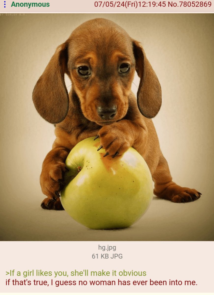 4chan dog greentext (83) 사진