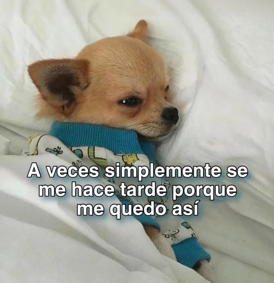 Lonely🥀 tweet media