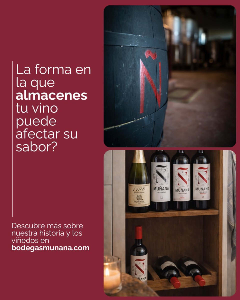 Cada vino es diferente: no todos están pensados para guardarse durante años.
👉 Los vinos jóvenes lo ideal es disfrutarlos en el mismo año.
👉 Los vinos tintos suelen aguantar mejor el paso del tiempo que los blancos.