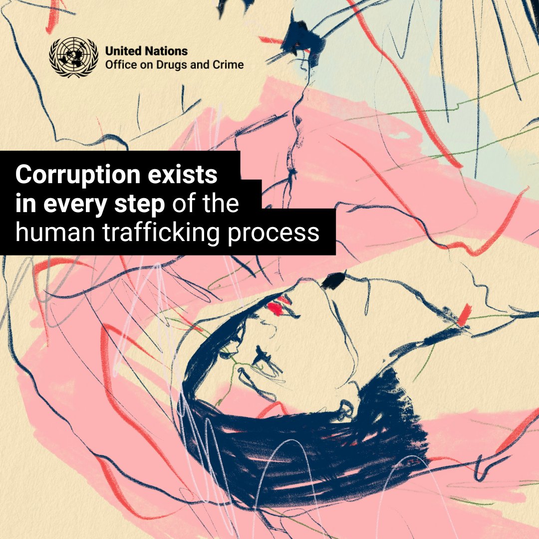 UNODC Anti-Corruption and Economic Crime tweet media