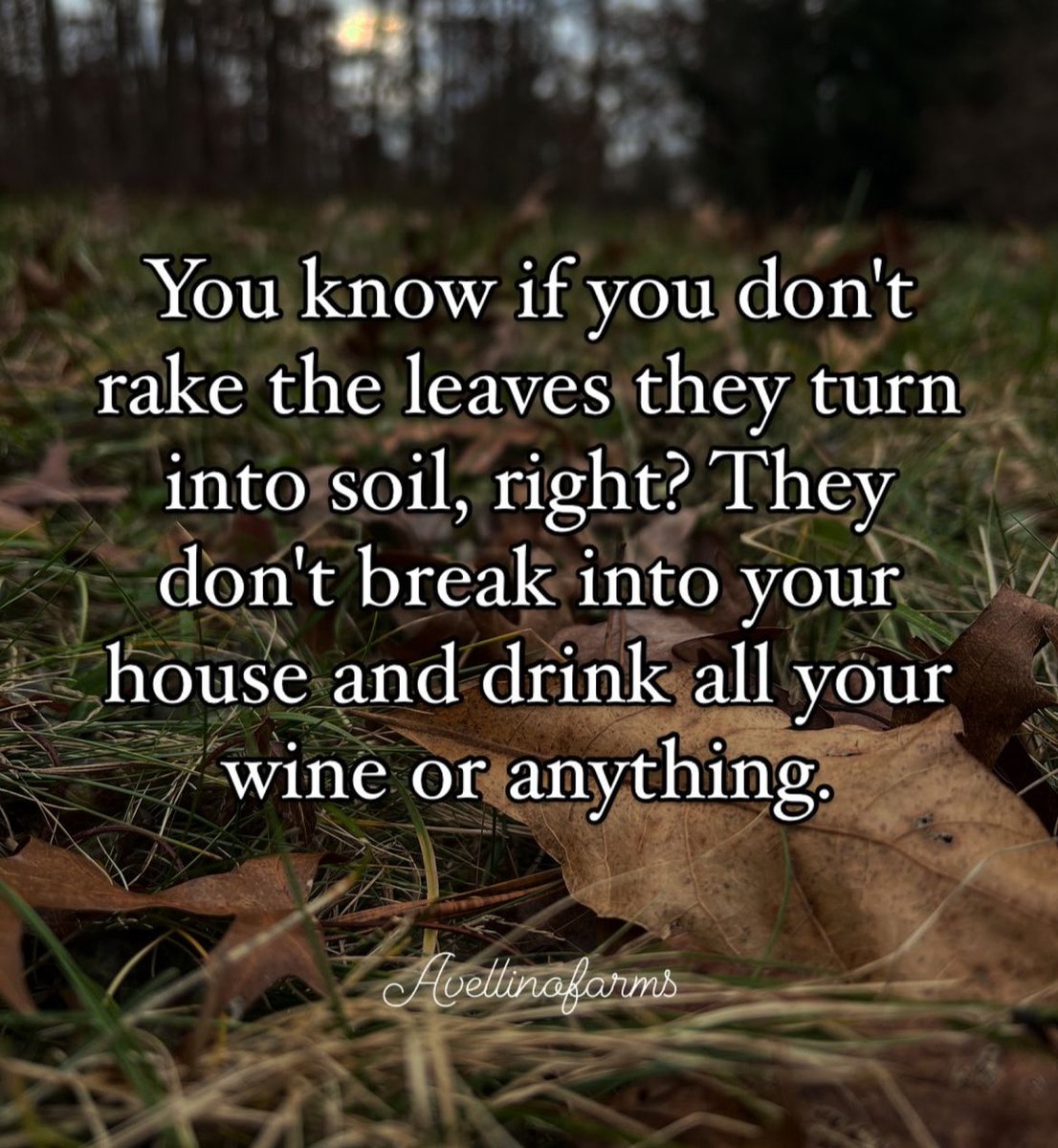 Theodora Wayte (@theodora8) on Twitter photo 