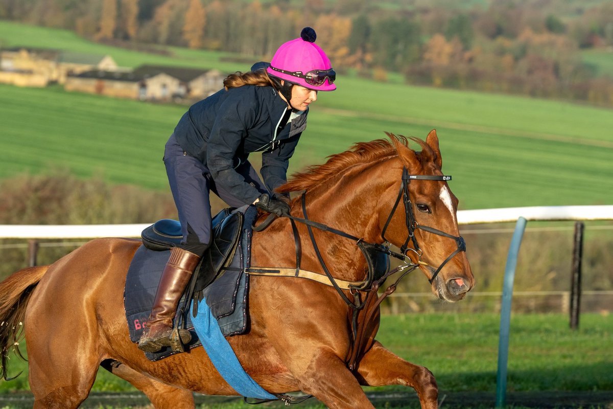 FOBRacing's tweet image. Four runners at three different courses today 

Is This For Real 
Plains Drifter 
Run Away Joe
Railway Bell