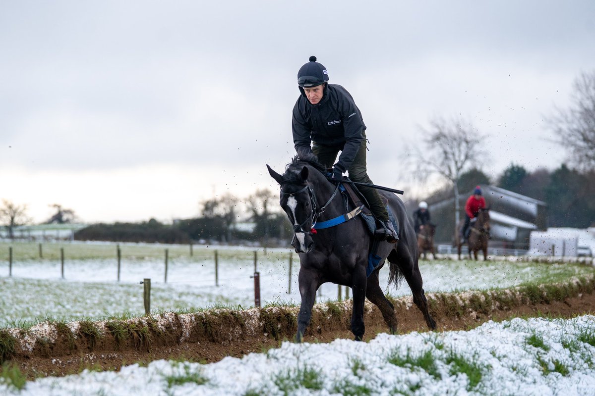 FOBRacing's tweet image. Four runners at three different courses today 

Is This For Real 
Plains Drifter 
Run Away Joe
Railway Bell