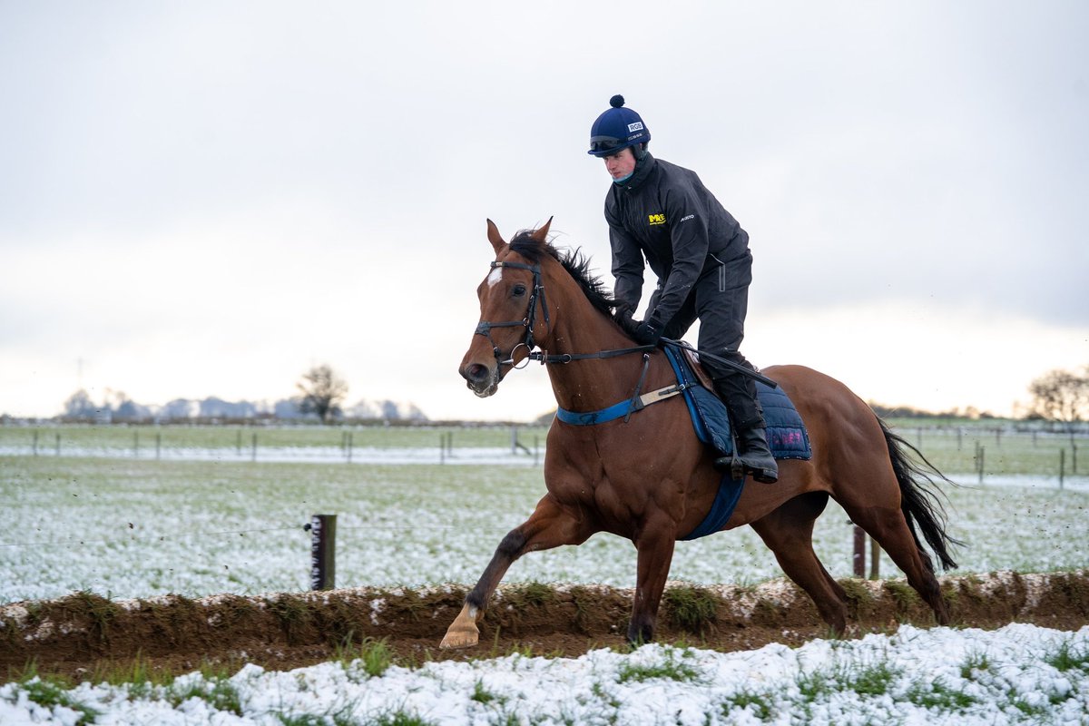 FOBRacing's tweet image. Four runners at three different courses today 

Is This For Real 
Plains Drifter 
Run Away Joe
Railway Bell