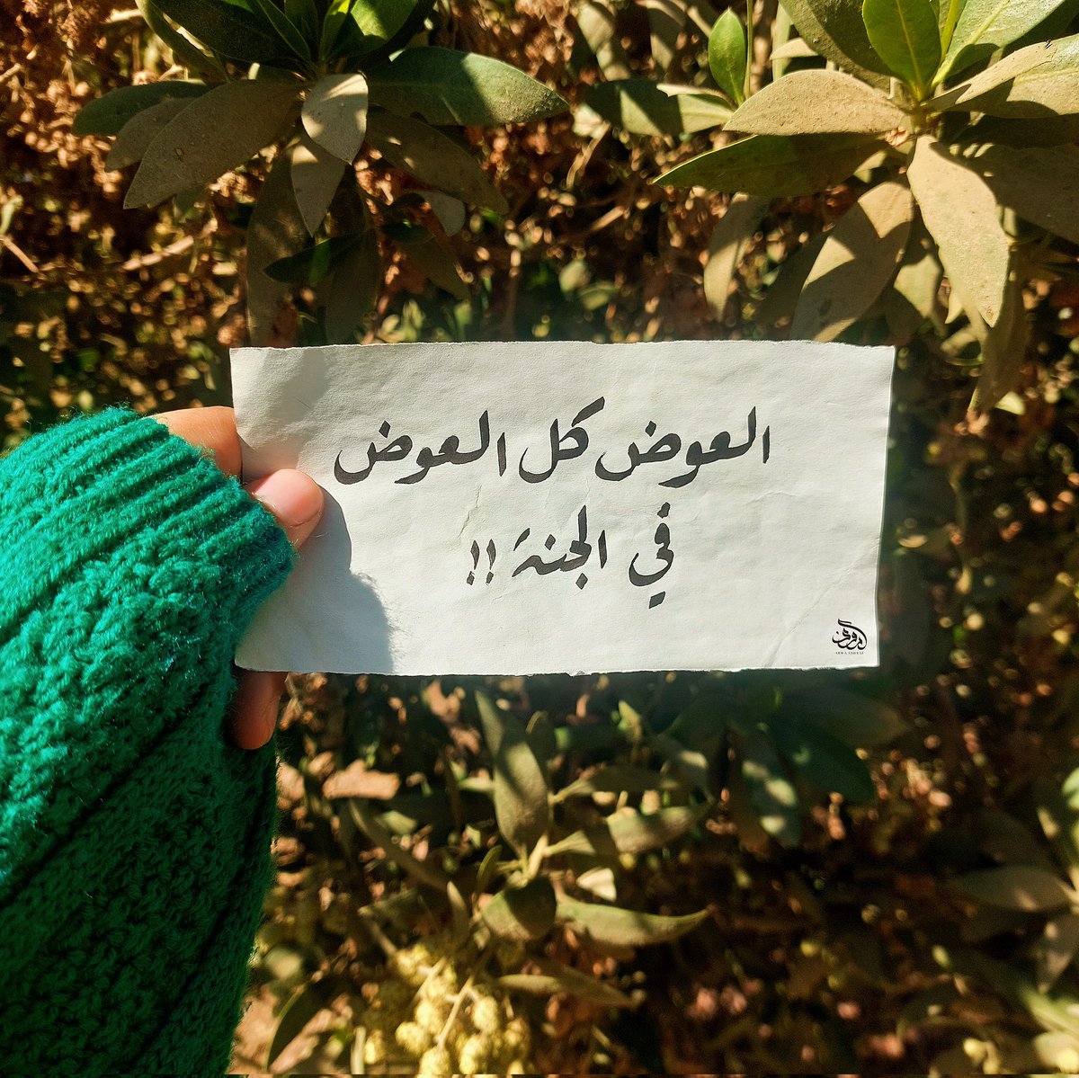 _Arroua_'s tweet photo. «ويؤتى بأشد الناس بؤسًا في الدنيا من أهل الجنة. فيصبغ في الجنة صبغة، فيقال -الله- له: يا ابن آدم! هل رأيت بؤسًا قط؟ هل مر بك شدة قط؟ فيقول: لا والله يا رب! ما مر بي بؤس قط، ولا رأيت شدة قط.»

يا رب يا واسع يا كريم أجعلنا من أهل الجنة ")🤍. https://t.co/PSc0OZG3EF