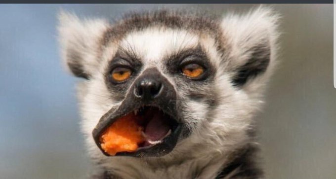 Aiyayaya pole bro sikuwa najua ni dem yako.