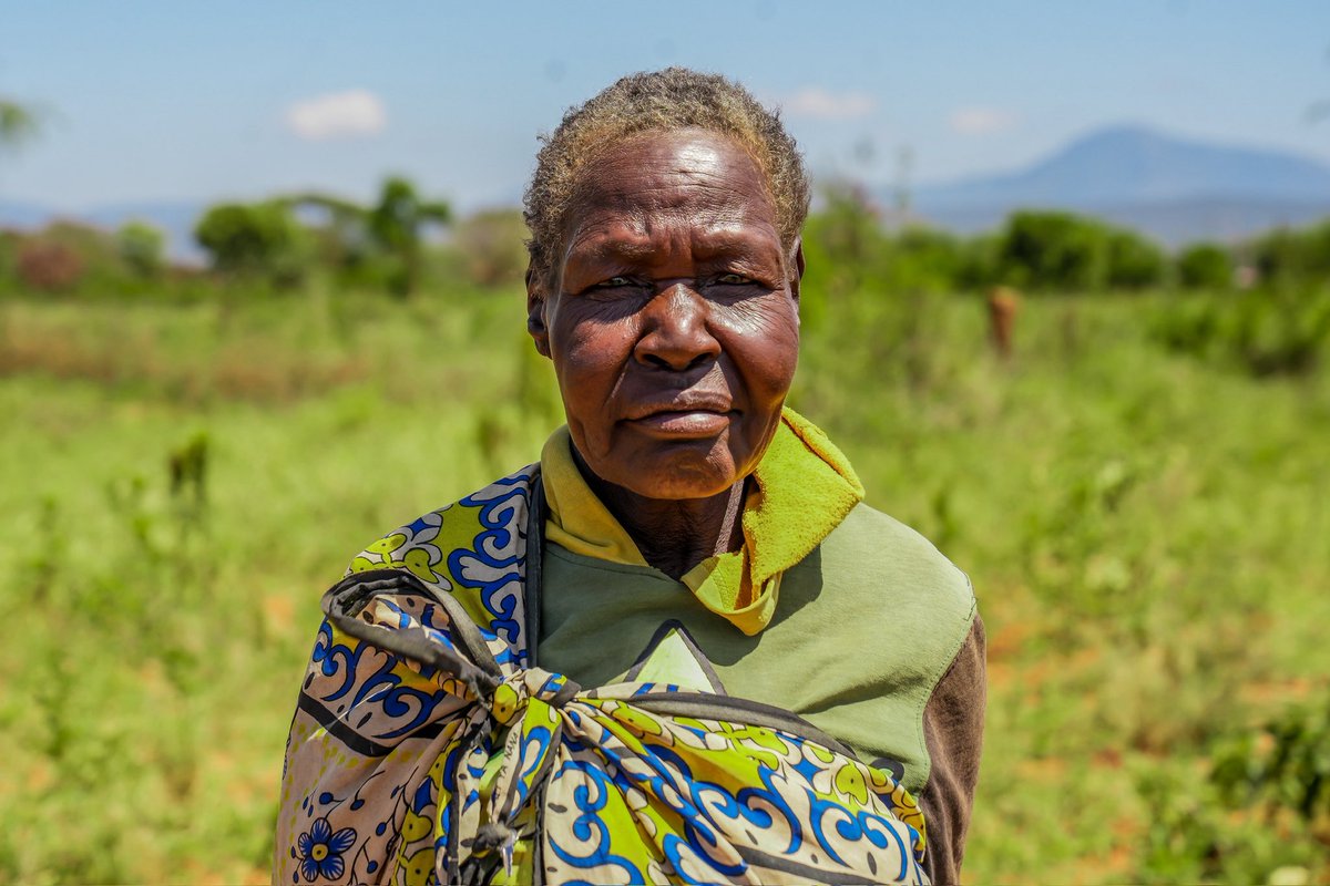 UNDP Resilience Hub for Africa 🌍 tweet media