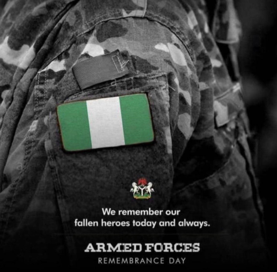 Respect to the armed forces risking it all to protect us from terror even when the danger is sponsored by the same government they serve. God protect them all.