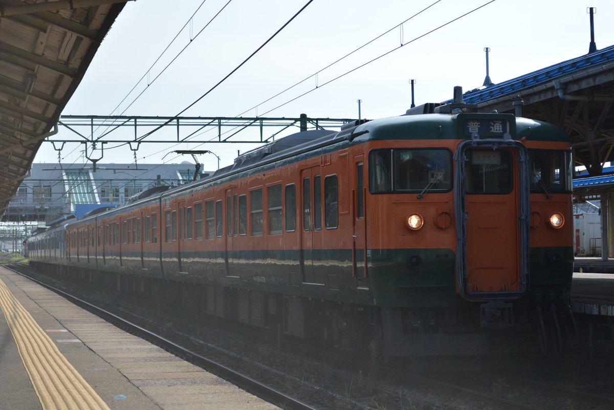 湘南あずき tweet media