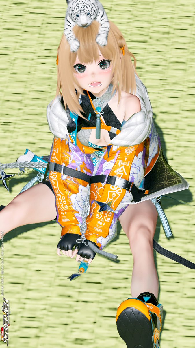 マキビシ＠pso2NGS (@makibishi_pso2) on Twitter photo 