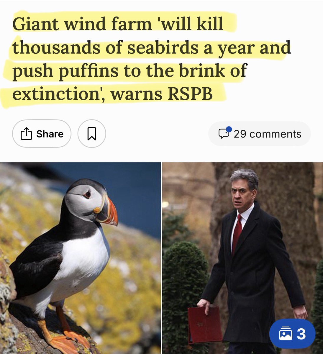 Well done Ed! Your giant Berwick Bank 300 turbine wind farm could kill 2,808 guillemots, 814 kittiwakes, 260 gannets, 154 razorbills, and 65 puffins PER YEAR.

Doesn’t sound very sustainable to me 🤡