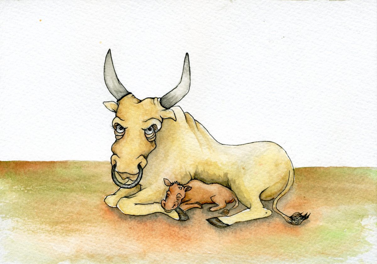 Richard Ashworth tweet media