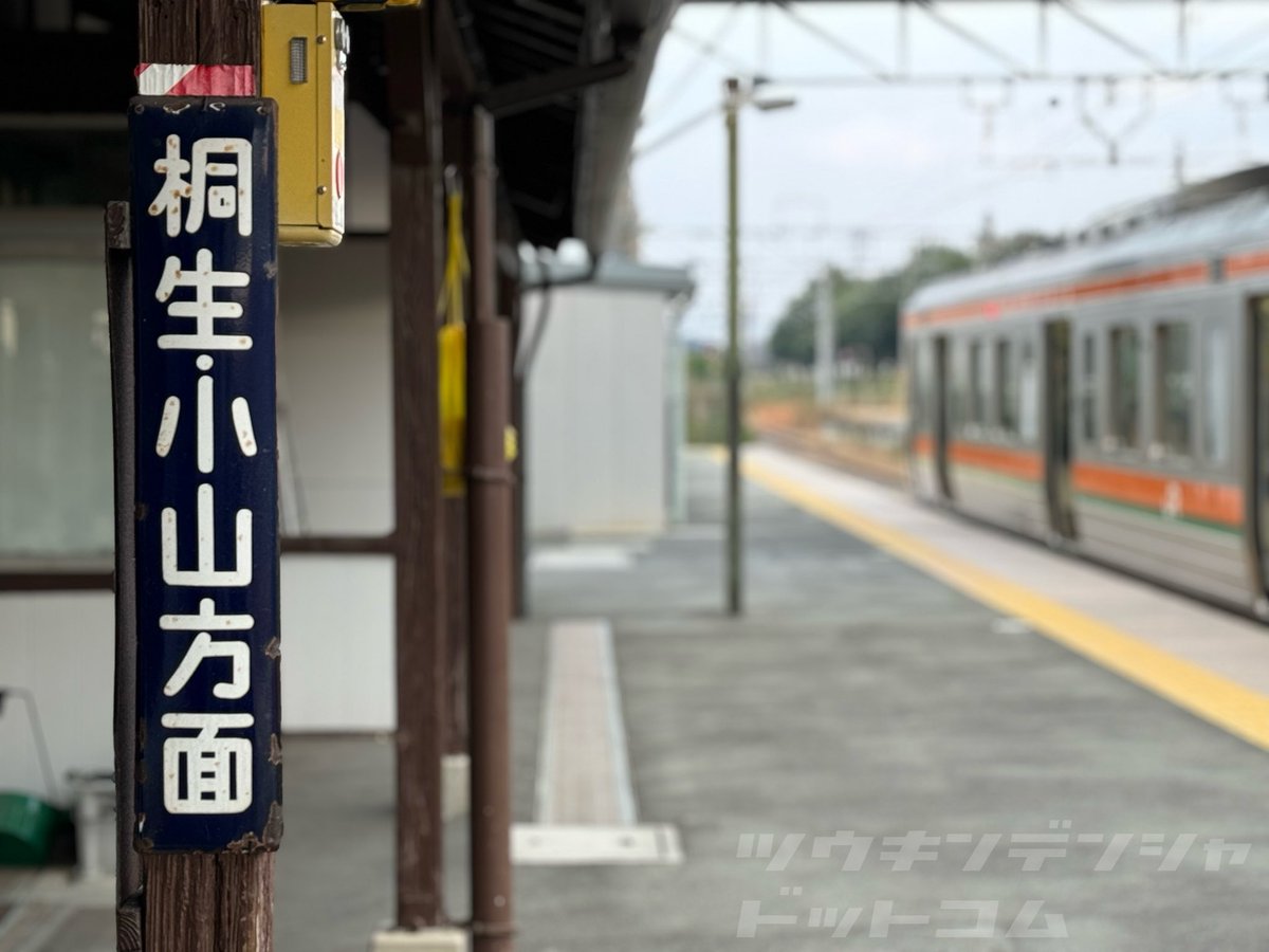 両毛線に残るホーロー看板と211系。 （AI生成っぽいけど本物です