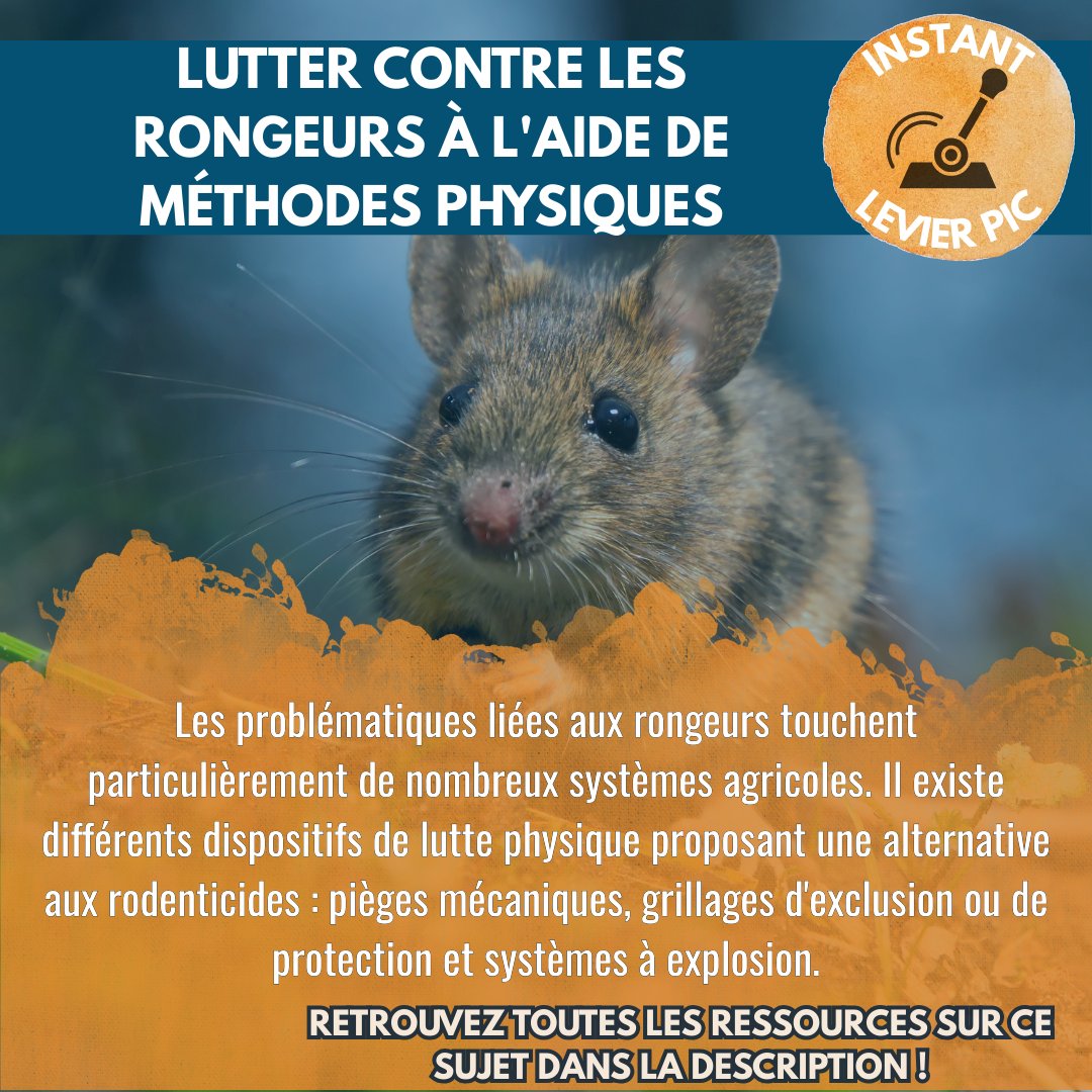 EcophytoPIC tweet media