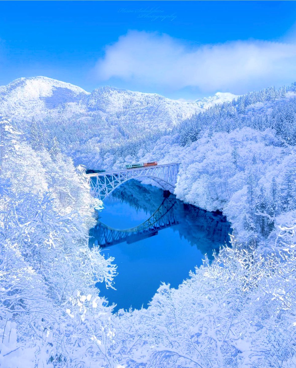 Good afternoon.☀︎*.｡🕊️🌿✨ I hope you have a good day today