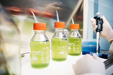 Biotech-Spain.com tweet media