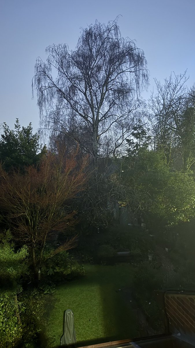 Ian Dennis / Indent Design tweet media