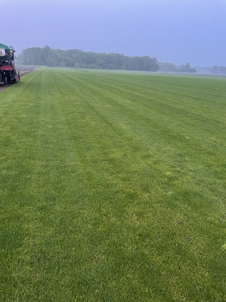 من العمل صباح التوكل على الله 
يوم جميل لوالديكم