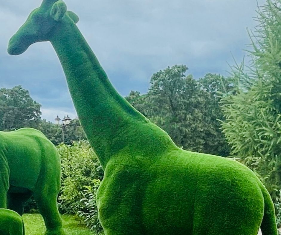 revturf's tweet photo. #artificialgrassanimals #artificialturfanimals #turfanimalsmanufacturer #fakegrassanimals
#animaltopiary
#animaltopiary
#animaltopiarymanufacturer
#artificialgrasssmallgiraffe
Contact Us - info@revturf.com
Website -  https://t.co/ncjWB1PfX6 https://t.co/V5gmXUYlkP