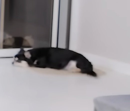 눈물고임 진짜로