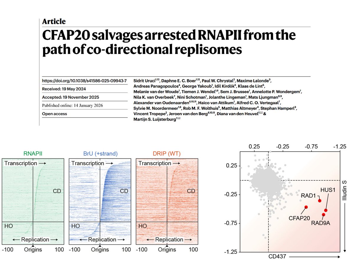 Martijn Luijsterburg tweet media