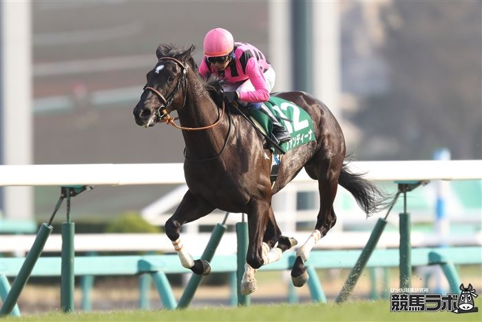 女王の座を夢見て】 日曜の京都5R・3歳新馬ではエピファネイア産駒の